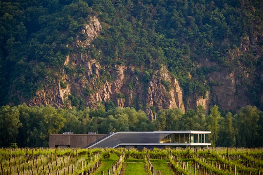 vigneti contro le montagne vicino alla cantina nella regione vinicola della Bassa Austria