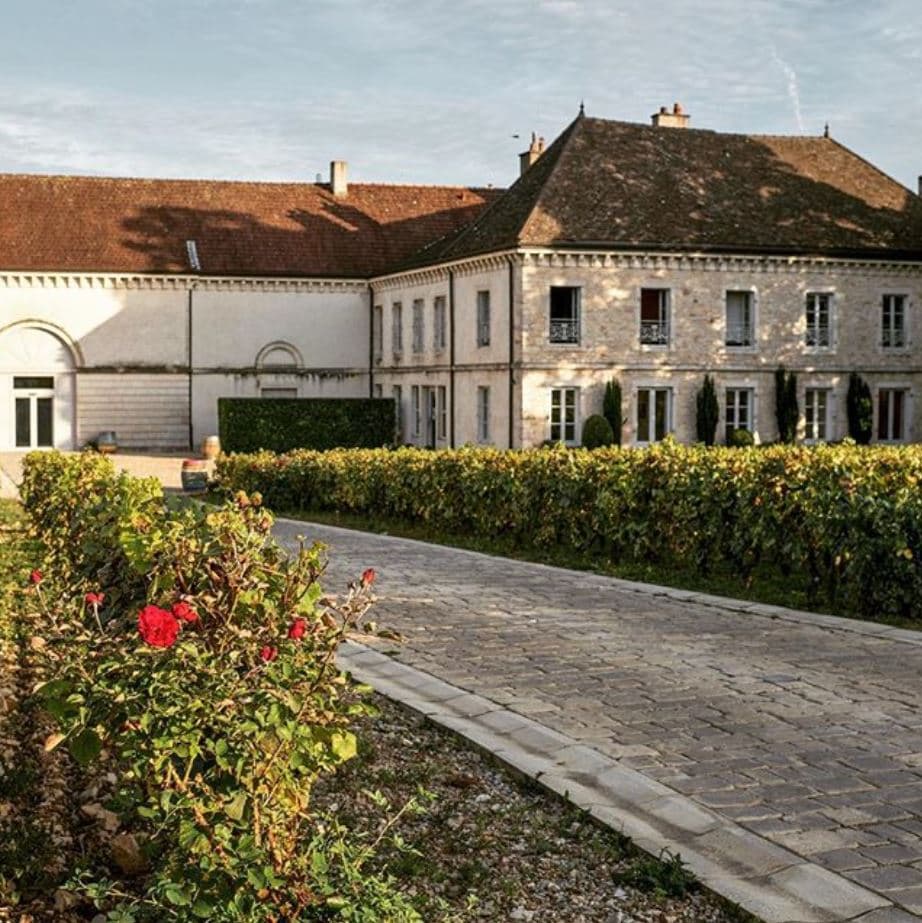 Domaines et Maison Famille Picard photo 5