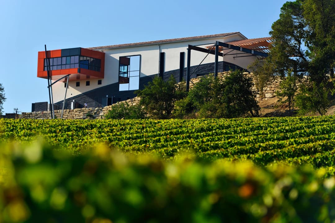 Château La Croizille - winery