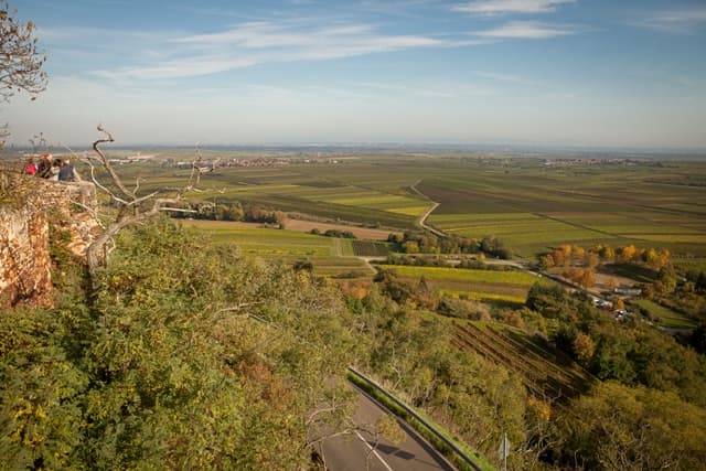 Weingut Hartmetz-Kling Foto 2