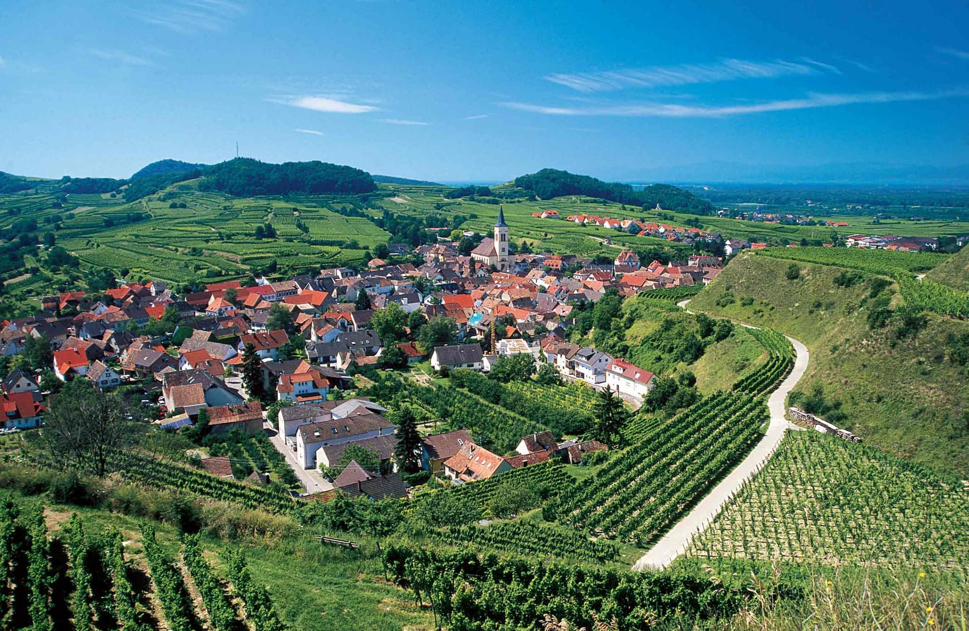 Kaiserstuehler Winzerverein Oberrotweil foto 4