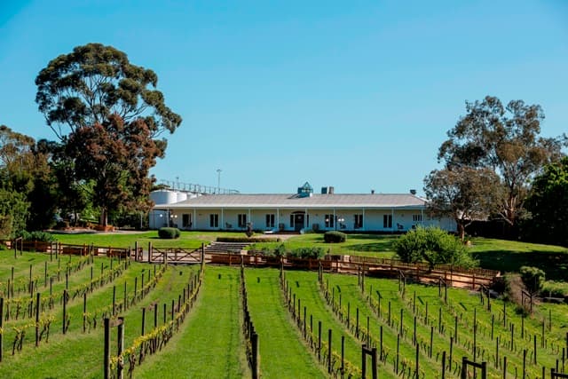 Rob Dolan Wines Foto 5