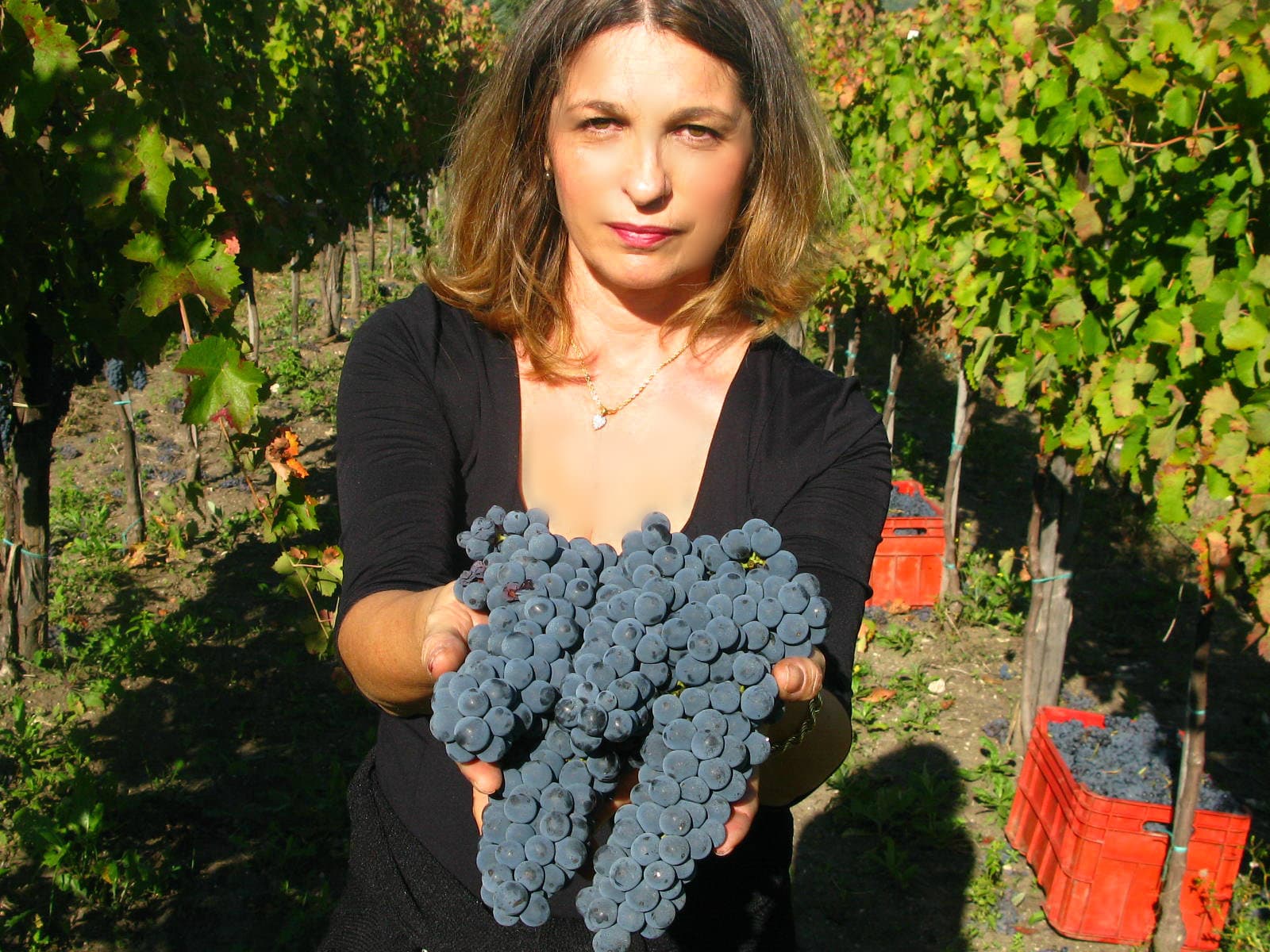 Stefania Barbot Winery foto 2