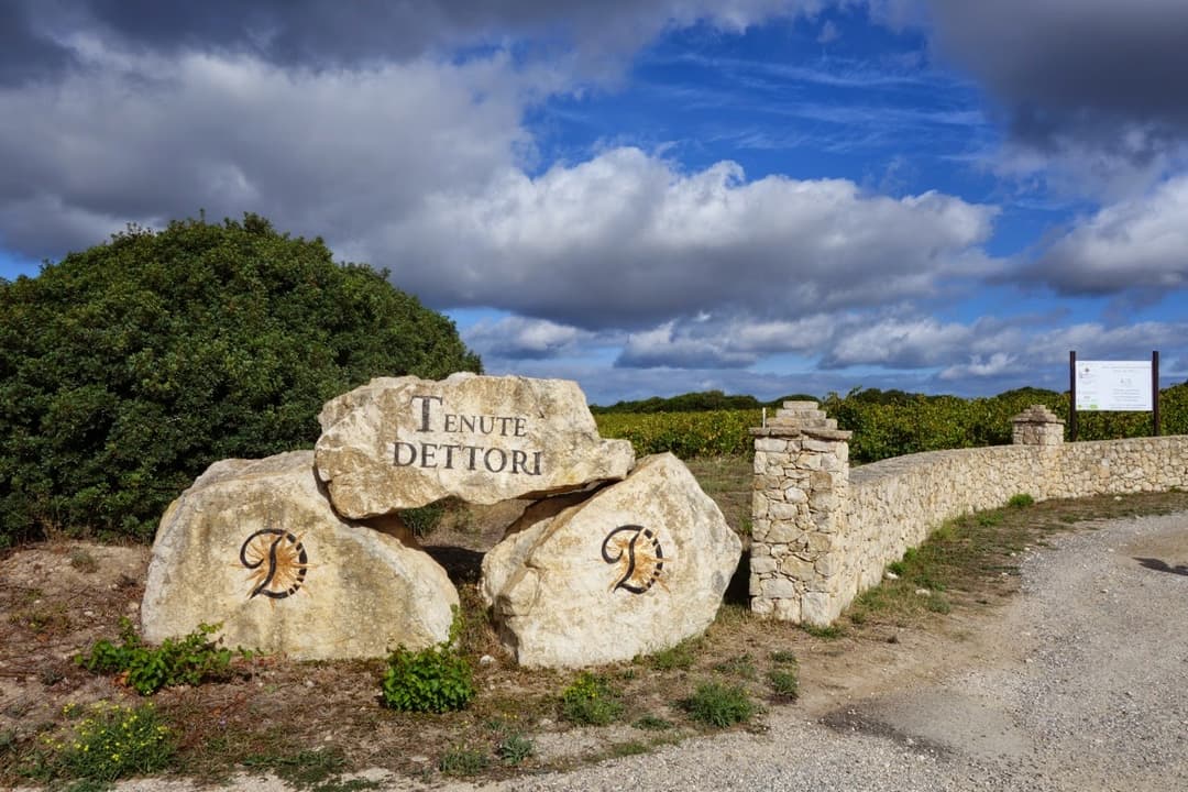 Tenute-dettori-gates Rl7cis