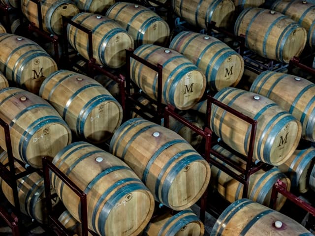 Vinprovning och rundtur i Vinaguarena Cellar