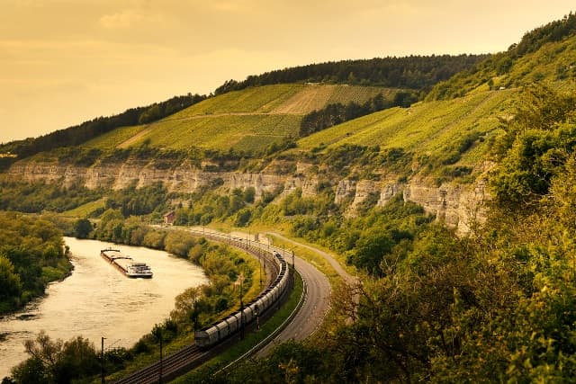 Weingut Höfling: A Legacy of Franconian Winemaking photo 2
