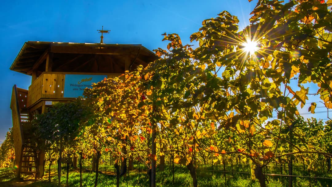 Weingut-johannes-j Bstl-paviljong Rmgaq1