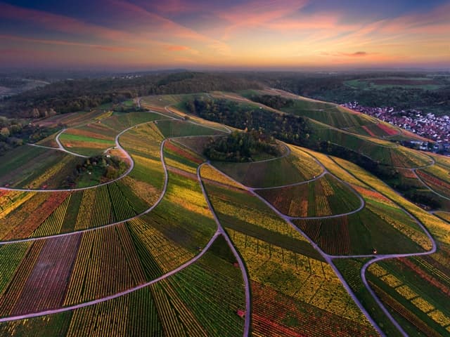 weingut kuhnle top view of the amazing and colorful vineyards near winery