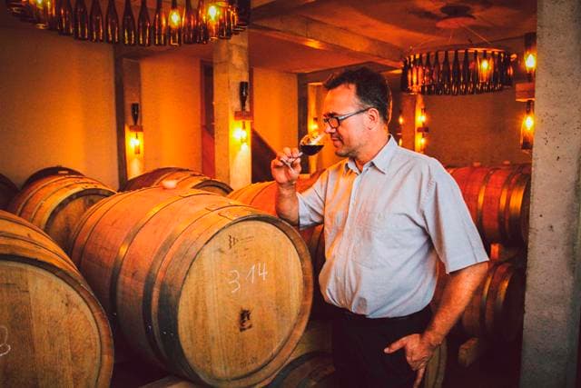 Weingut Seck Foto 3