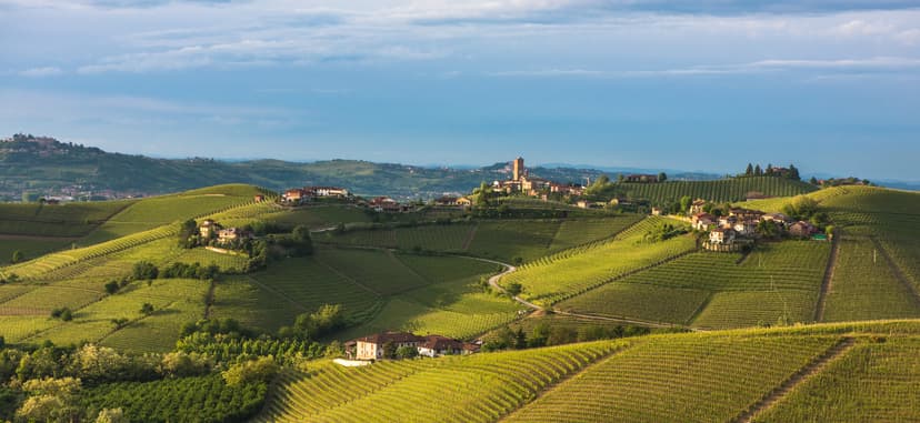 Wineries Near Rome