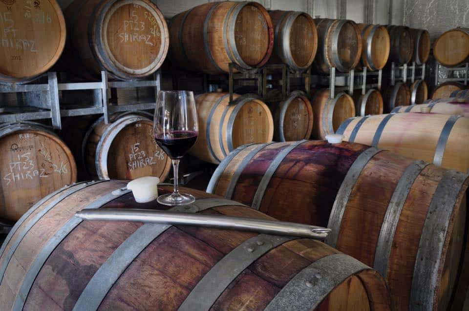 Dégustation de vins et visite du domaine Condie