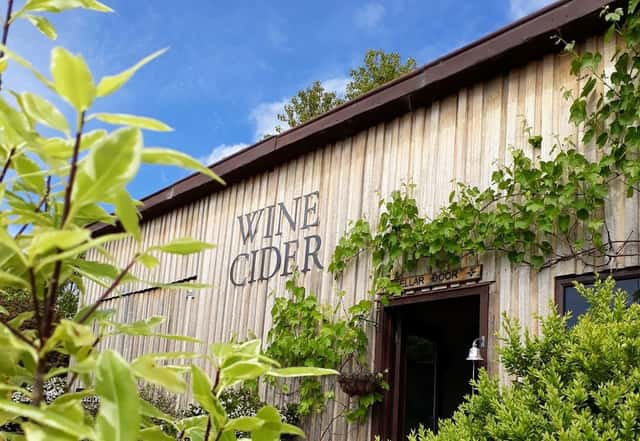 Winter Brook Vineyard