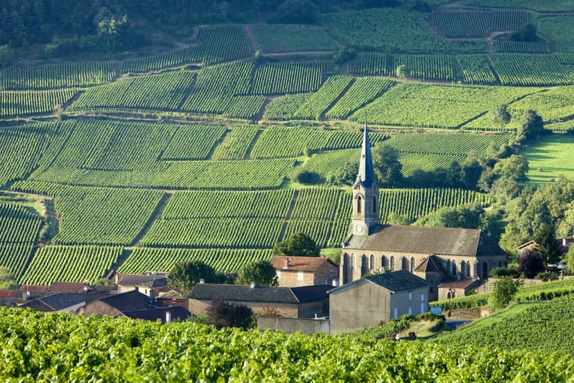 Blagny appellation