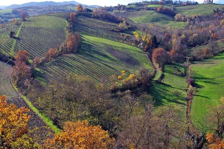 Wine region landscape