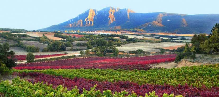Ribera Alta Bezeichnung