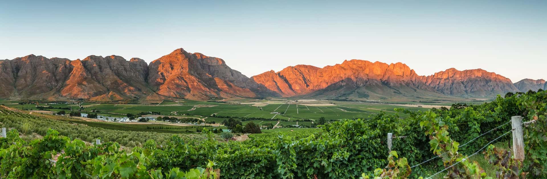 Wine region landscape