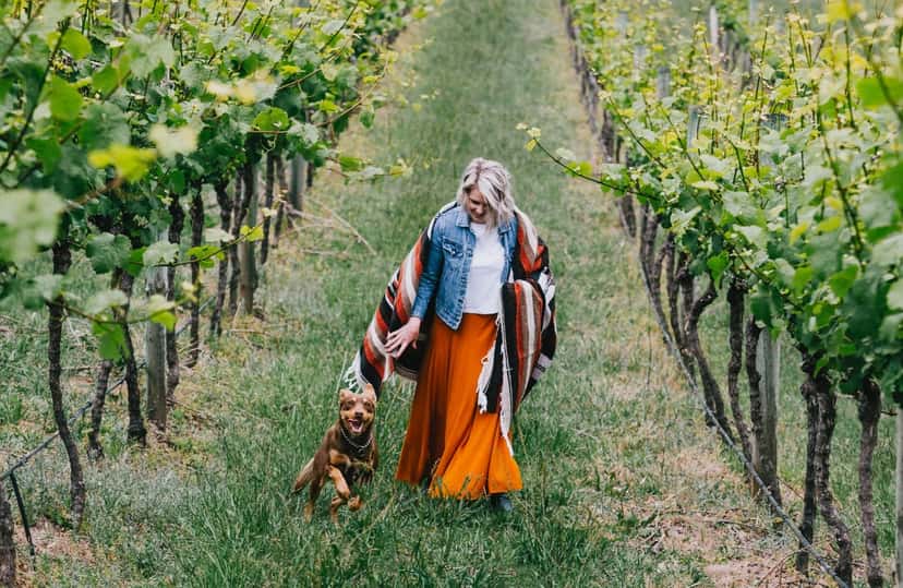 Blue Mountains Wine & Cheese Escape: Dryridge Estate