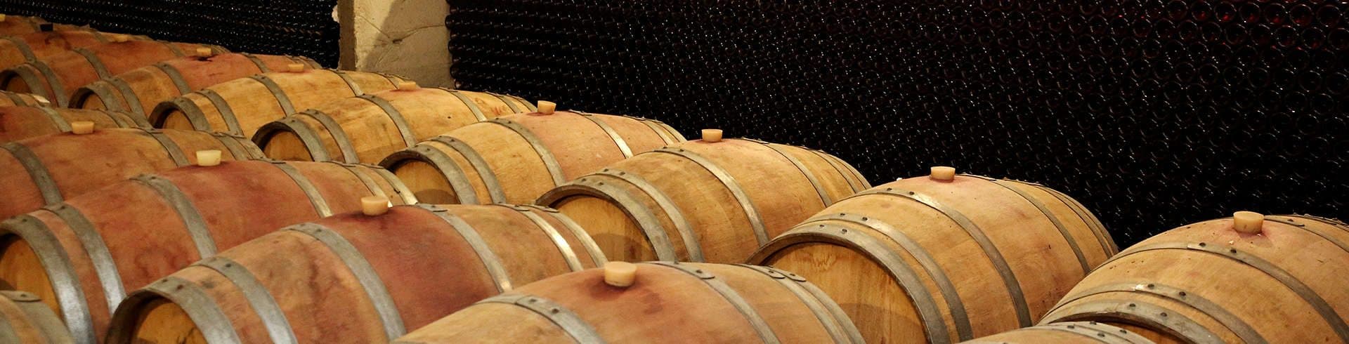 Basilescu Winery foto 3