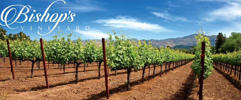 Bishops Vineyard