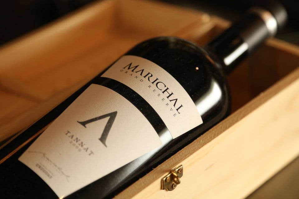 Bodega Marichal Foto 1