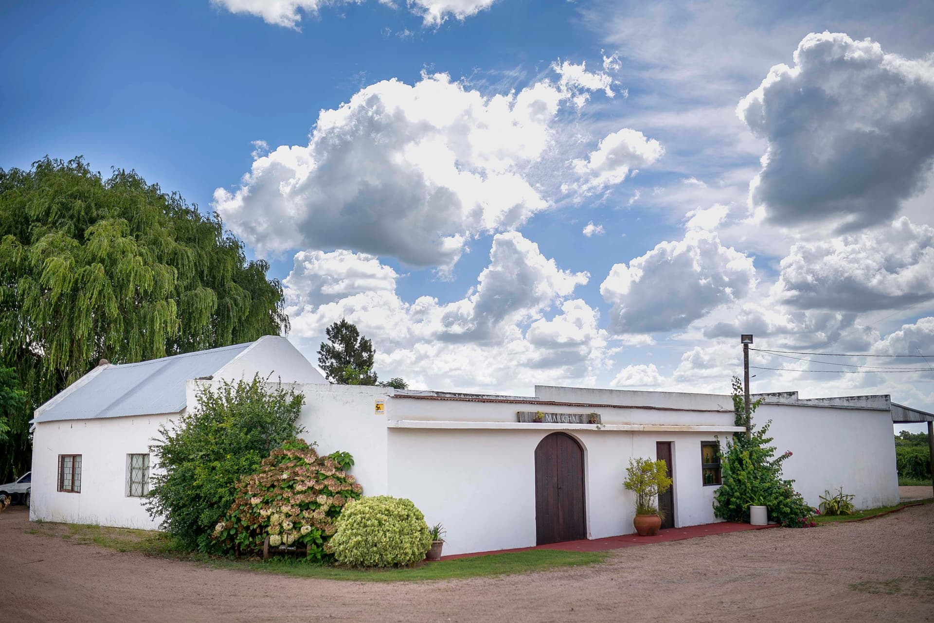 Bodega Marichal Foto 2