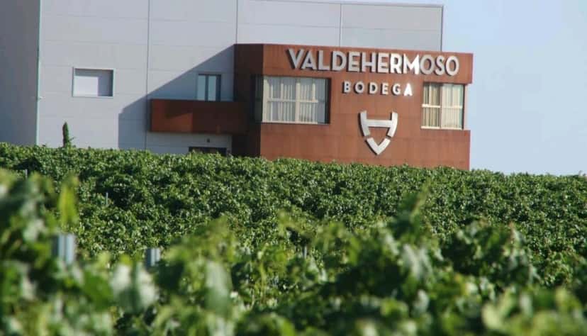 Bodega Valdehermoso: A Legacy of Quality Wines