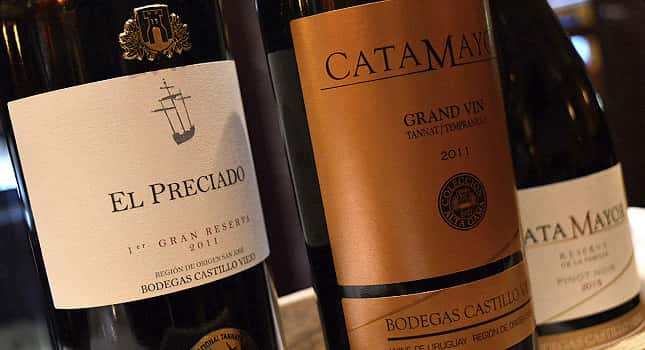 Bodegas Castillo Viejo