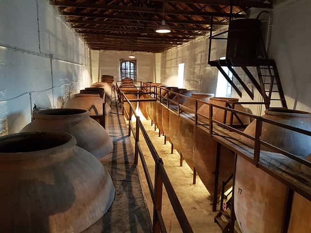 Navarro López Winery: A Family Tradition