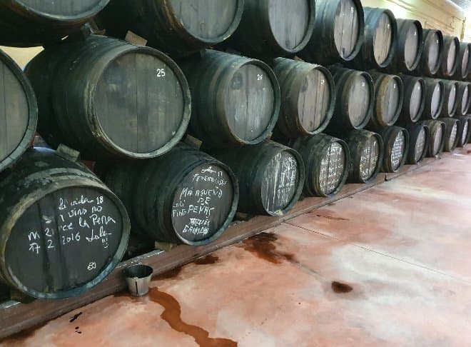 Weinprobe und Tour in der Bodegas Virgen De La Oliva