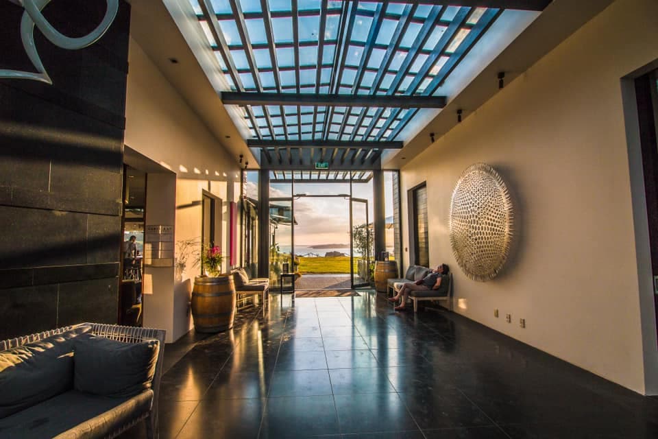 Cable Bay Vineyards, Aucklands vinregion, Nya Zeeland