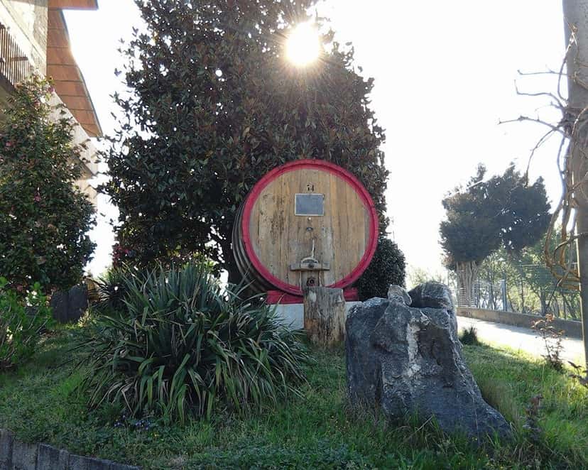Cantina Del Barone