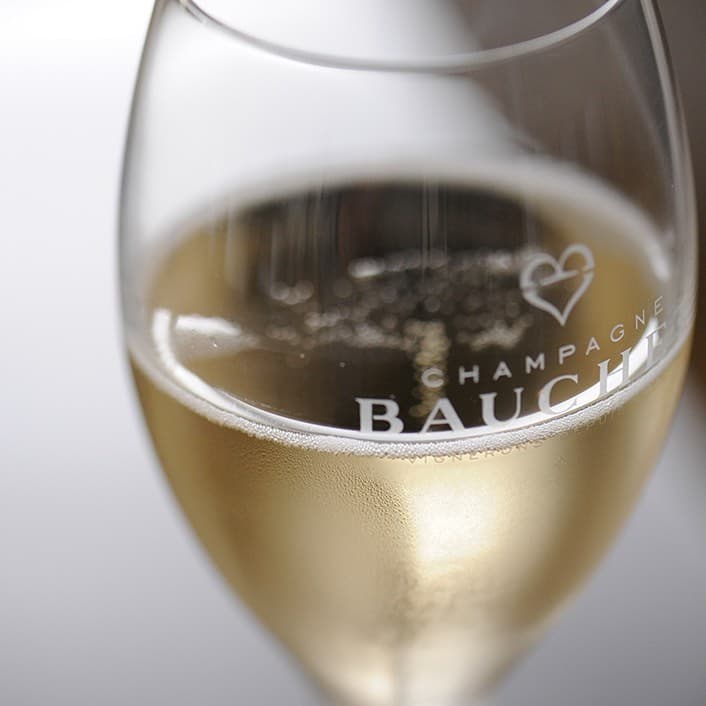Weinprobe und Tour bei Champagne Bauchet