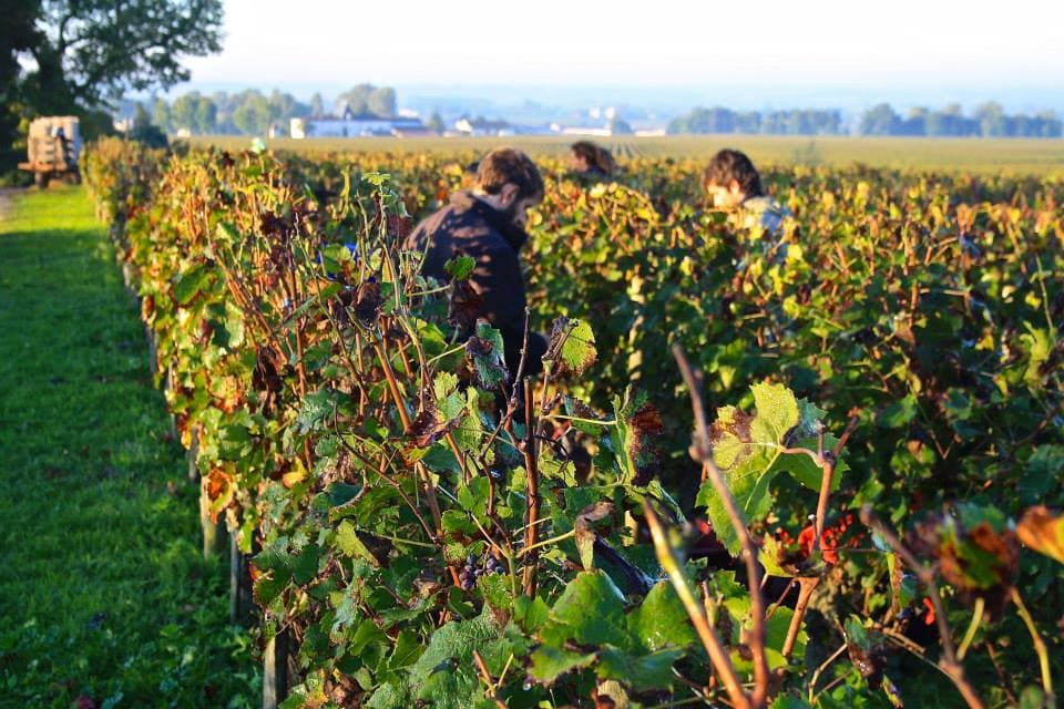 Château Coutet Saint-Emilion