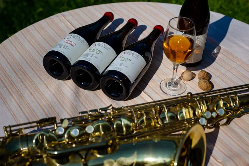 Browse all Outdoor Wine Activities in Georgia