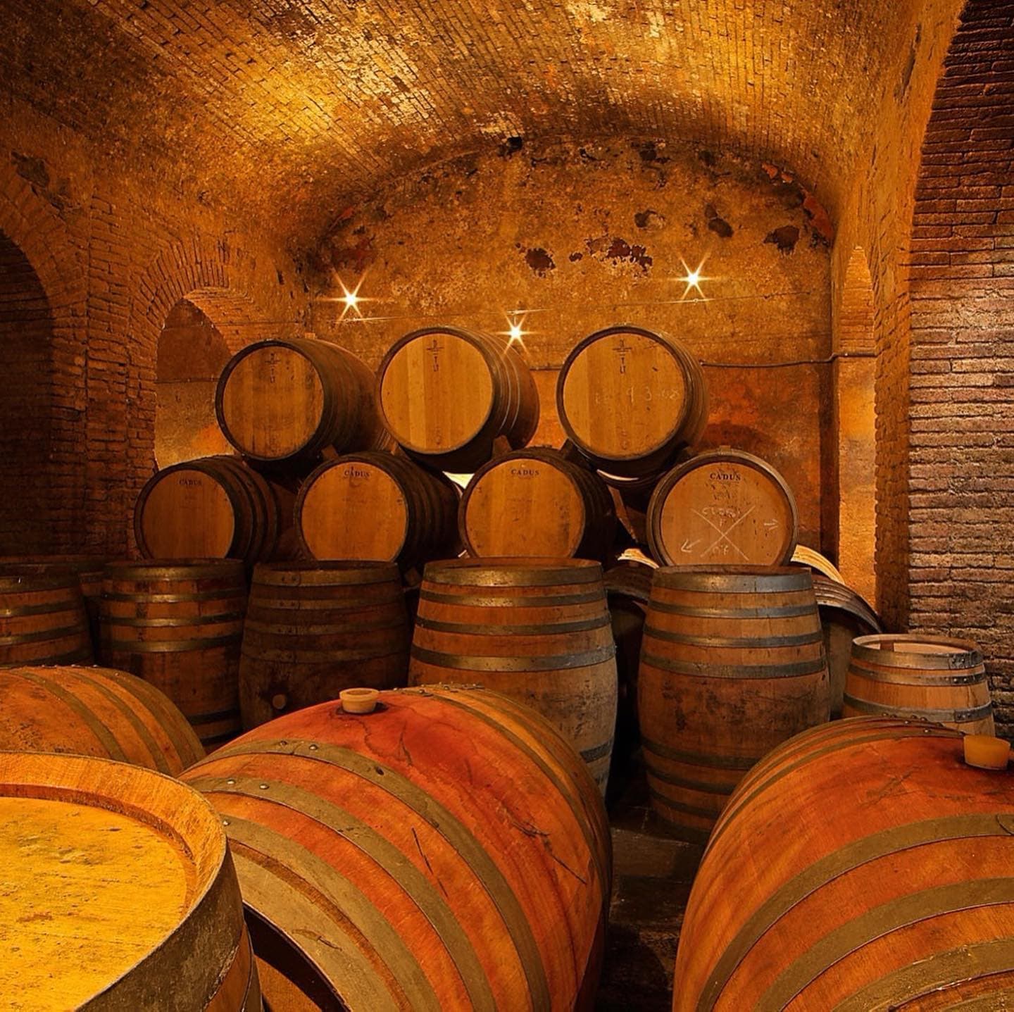 Clos Figueras Winery photo 4