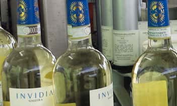 Browse all wineries in Gallura