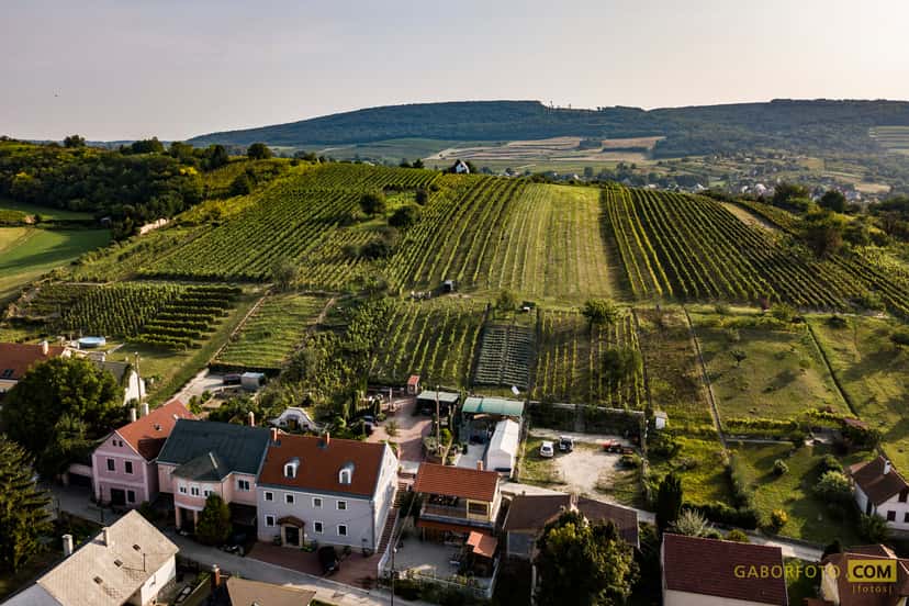 Csetvei Cellar
