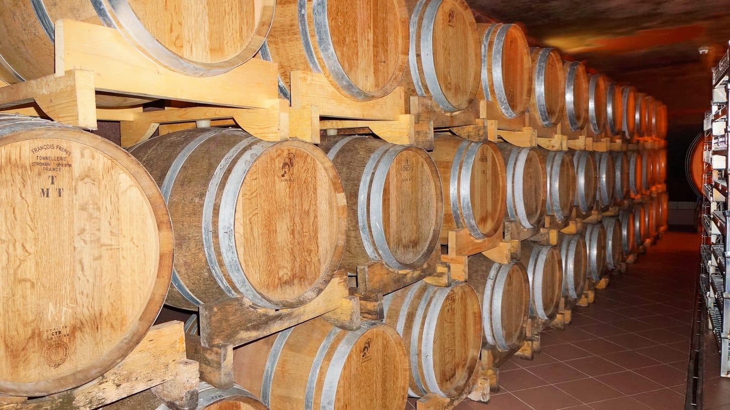 Degrassi Winery Foto 3
