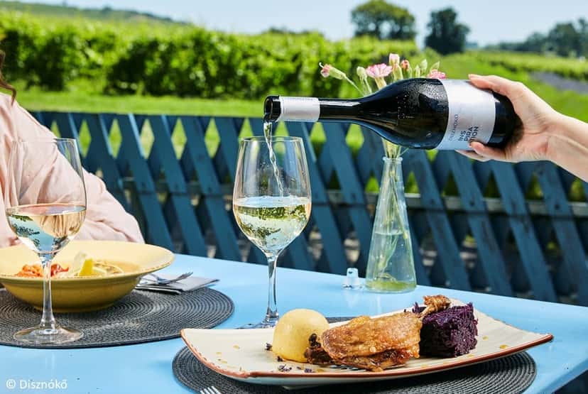 Cata de vinos y visita guiada en Diznókő