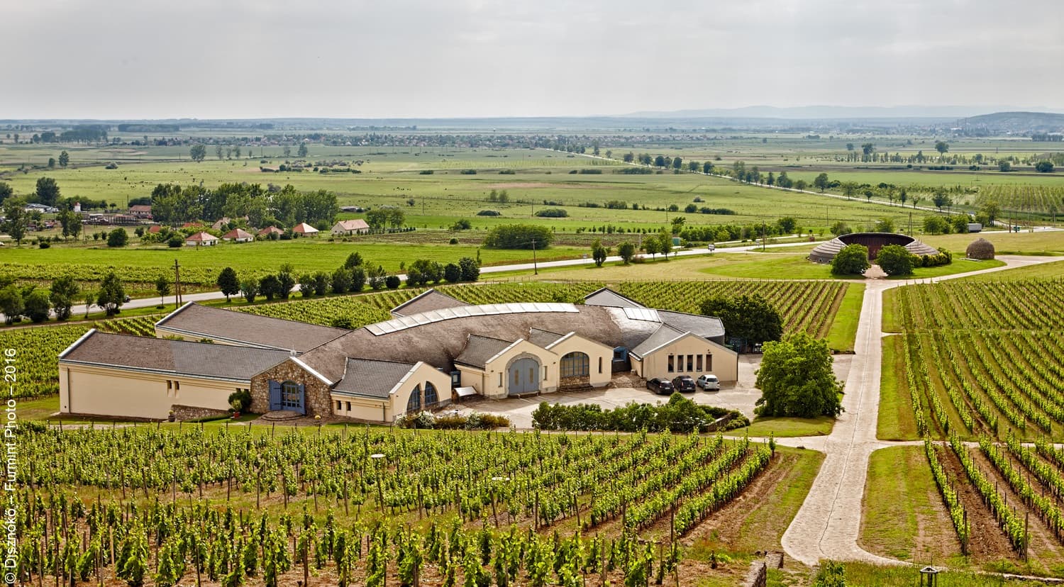 Disznókő Winery foto 1