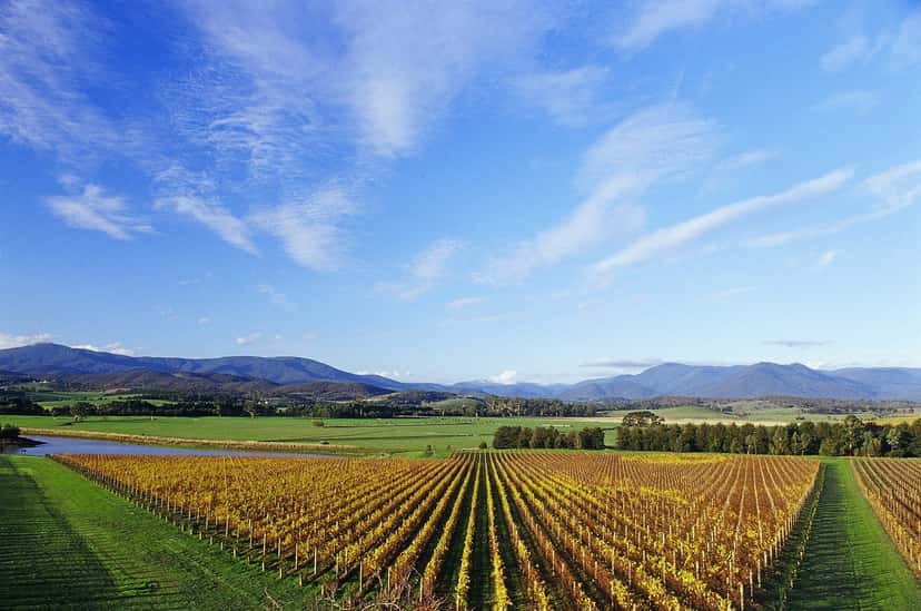 Domaine Chandon