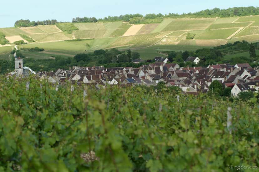 Domaine Clotilde Davenne