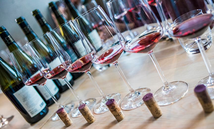 Vinprovning och rundtur på Etyeki Kúria Winery