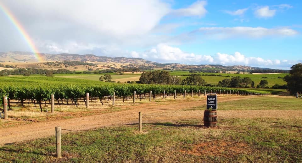 God’s Hill / Scalzi Wines