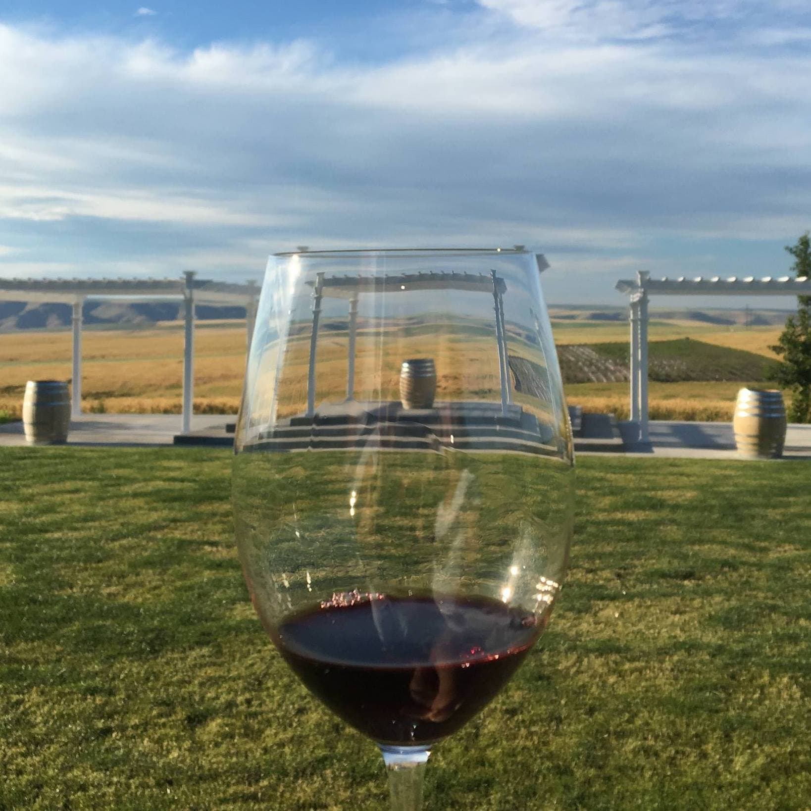 Degustação de vinhos e passeio em Lindsay Creek Vineyards