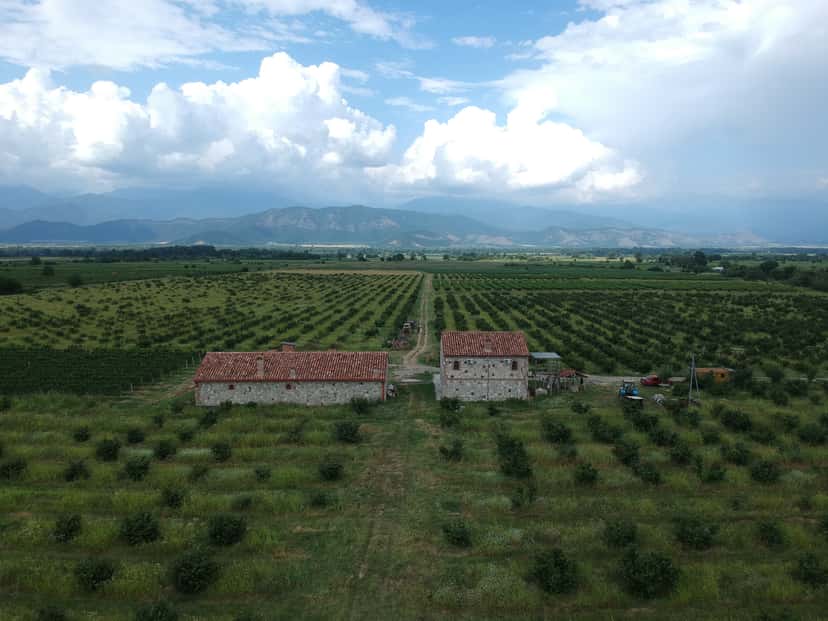 Mestvireni Winery