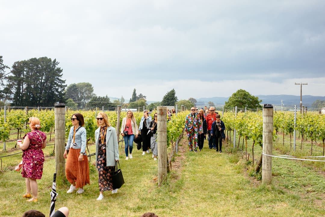 Palliser estate - Wairarapa wine region
