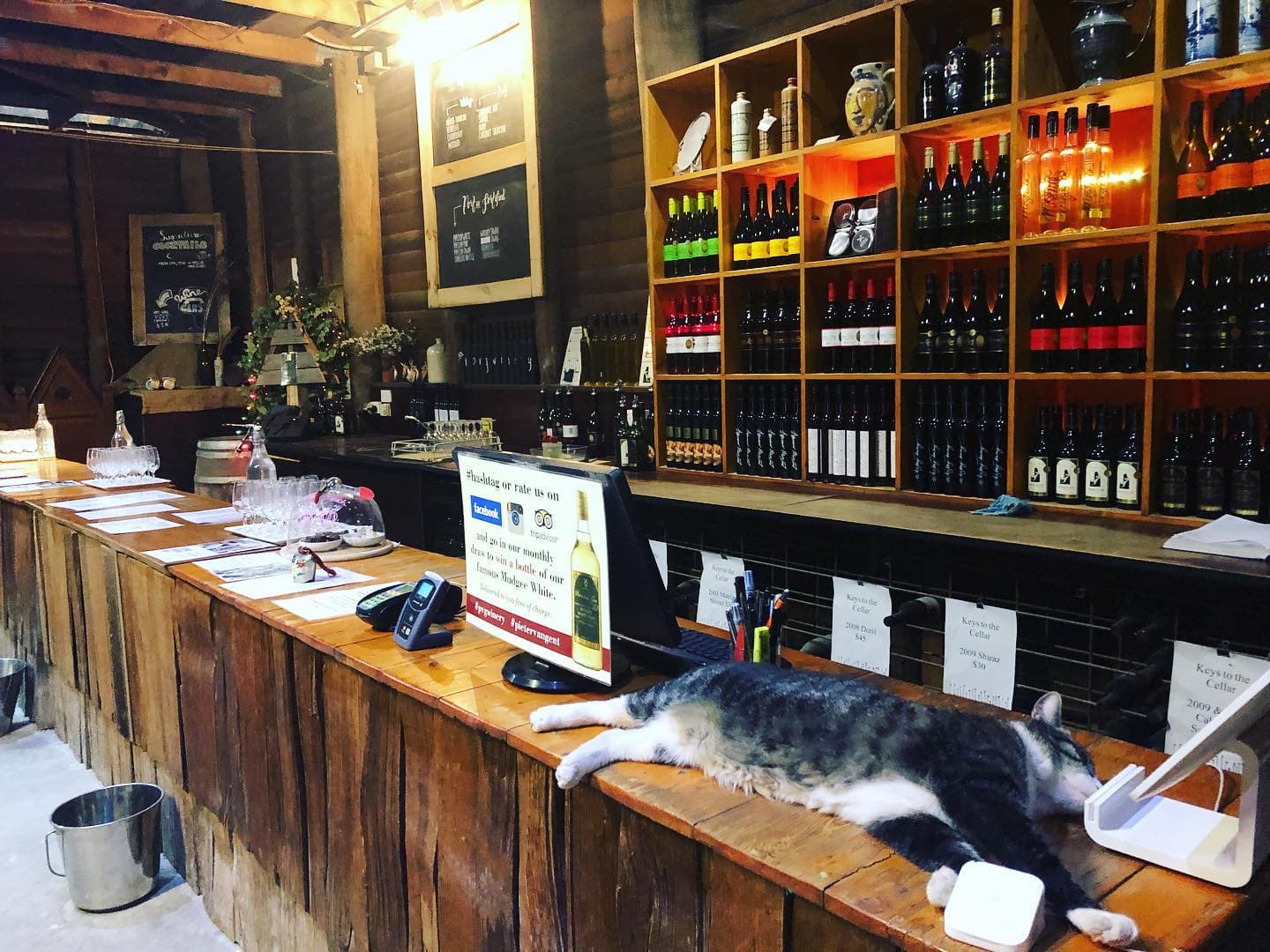 Pieter Van Gent Winery photo 1