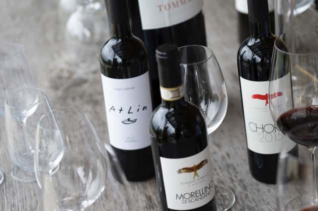 Dégustation de vins et visite à l'Azienda Agricola Poggio…