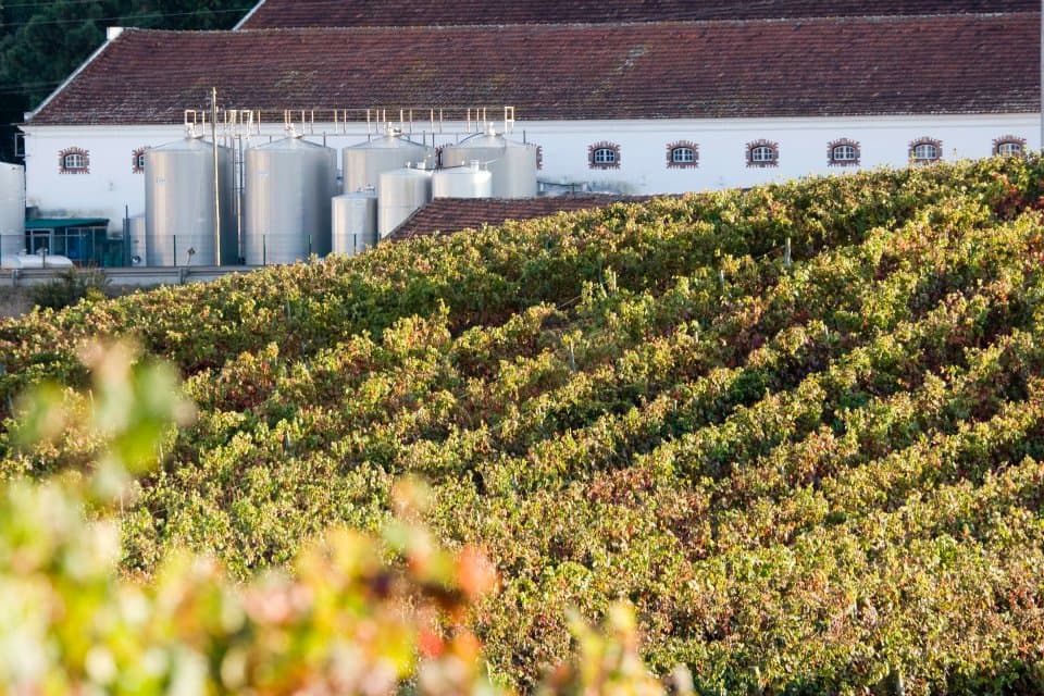 Quinta Do Sanguinhal photo 4